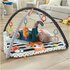 Fisher Price HBP41 Palestrina a tappeto per bambino Multicolore