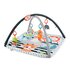 Fisher Price HBP41 Palestrina a tappeto per bambino Multicolore