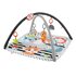 Fisher Price HBP41 Palestrina a tappeto per bambino Multicolore