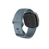 FitBit Versa 4 Platino GPS