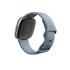 FitBit Versa 4 Platino GPS