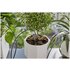 Gardena Set vacanze con serbatoio