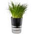 Gefu BOTANICO Vaso per erbe aromatiche Libera installazione Plastica, Acciaio inossidabile Nero