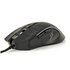 GEMBIRD MUSG-RGB-01 mouse Gaming Mano destra USB tipo A 3600 DPI