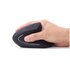 GEMBIRD MUSW-ERGO-01 mouse Ufficio Mano destra RF Wireless Ottico 1600 DPI