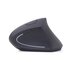 GEMBIRD MUSW-ERGO-01 mouse Ufficio Mano destra RF Wireless Ottico 1600 DPI