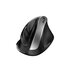 GENIUS Ergo 8250S mouse Universale Mano destra RF Wireless Ottico 1600 DPI