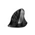 GENIUS Ergo 8250S mouse Universale Mano destra RF Wireless Ottico 1600 DPI