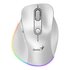 GENIUS Ergo 9000S Pro mouse Universale Mano destra RF senza fili + Bluetooth Ottico 2400 DPI