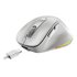 GENIUS Ergo 9000S Pro mouse Universale Mano destra RF senza fili + Bluetooth Ottico 2400 DPI