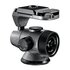 Gitzo GH5750QR 1/4" Palla Nero, Argento