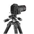Gitzo GHF3W Testa per treppiede 1/4