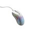 Glorious Gaming Model D 2 Wired mouse Mano destra USB tipo A Ottico 26000 DPI