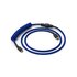 Glorious PC Gaming Race Coiled Blu 1,37 m