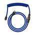Glorious PC Gaming Race Coiled Blu 1,37 m