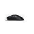 Glorious PC Gaming Race D 2 PRO mouse Giocare Mano destra RF Wireless Ottico 26000 DPI