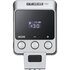 Godox IT22 Fuji Silver