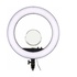 Godox Ring LED LR-160 Bi-Color + stativo 213B per lampade da studio e flash
