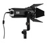 Godox S30 Illuminatore LED
