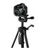 Hama Gamma 153 treppiede Fotocamere digitali/film 3 gamba/gambe Nero