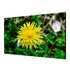 HIKVISION DS-D2055LE-G LCD Interno