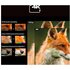 HISENSE Laser TV PL2 Proiettore a raggio ultra corto 2700 ANSI lumen DLP UHD 4K (3840x2160) Compatibilità 3D Nero