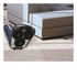 Hoover F3860/1 011 Lucidatrice per pavimenti Blu