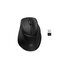 HP Mouse ergonomico Tilt 725M
