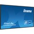 IIyama LH3241S-B2 Design chiosco 80 cm (31.5