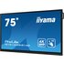 IIyama PROLITE 75