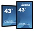 IIyama ProLite TF4339MSC-B1AG Touch 43