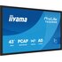 IIyama T4329AS-B1AG Monitor PC 108 cm (42.5