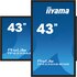 IIyama TF4339AS-B1AG 108 cm (42.5