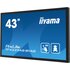 IIyama TF4339AS-B1AG 108 cm (42.5