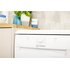 INDESIT DSFE 1B10 Libera installazione 10 coperti F