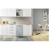 INDESIT DSFE 1B10 S