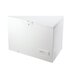 INDESIT OS 2A 300 H Congelatore a pozzo Libera installazione 315 L E Bianco