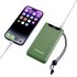 Intenso F10000 verde 10000 mAh incl. USB-C a tipo C
