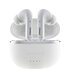 Intenso White Buds T302A Cuffie In-ear Chiamate/Musica/Sport/Tutti i giorni Bianco