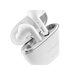 Intenso White Buds T302A Cuffie In-ear Chiamate/Musica/Sport/Tutti i giorni Bianco