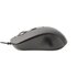 iTek CLK C01 mouse Universale Ambidestro USB tipo A Ottico 3600 DPI