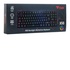 iTek X50 USB ITA Retroilluminazione Nero,RGB