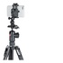 Joby GripTight PRO 2 testa per treppiede Nero 1/4