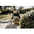 Karcher WD 6 P S V-30/6/22/T 30 L 1300 W Nero, Acciaio inossidabile, Giallo