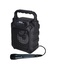 Karma HPS 44 Sistema PA Portatile 12 W Nero