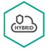 Kaspersky Hybrid Cloud Security Rinnovo 12 mese(i)
