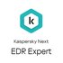 Kaspersky Next EDR Expert European Edition Sicurezza antivirus 250 - 499 licenza/e 3 anno/i