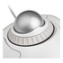 KENSINGTON Orbit USB tipo A Trackball Ambidestro Bianco