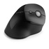 KENSINGTON Pro Fit RF Wireless Ottico 1600 DPI Nero