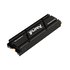 Kingston Technology 2000GB 2 TB RENEGADE PCIe 4.0 NVMe SSD W/ Dissipatore di calore